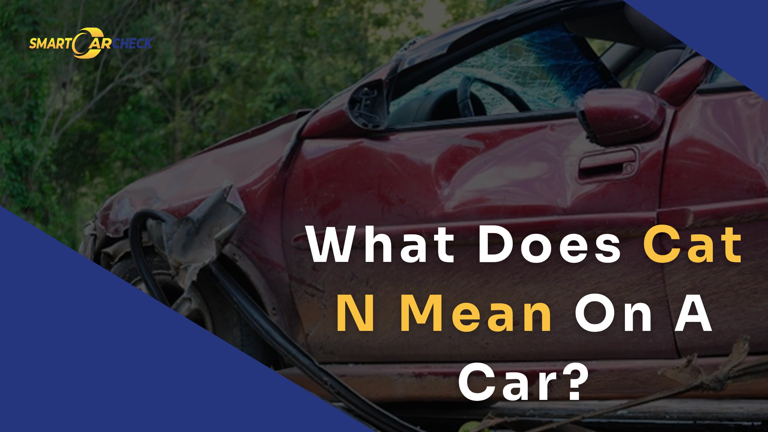 Cat N Car Meaning